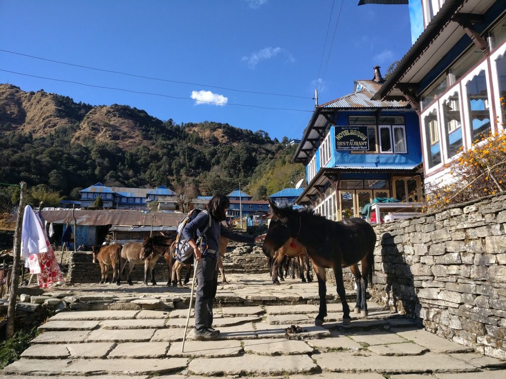 Hotel while trekking to Poon Hill