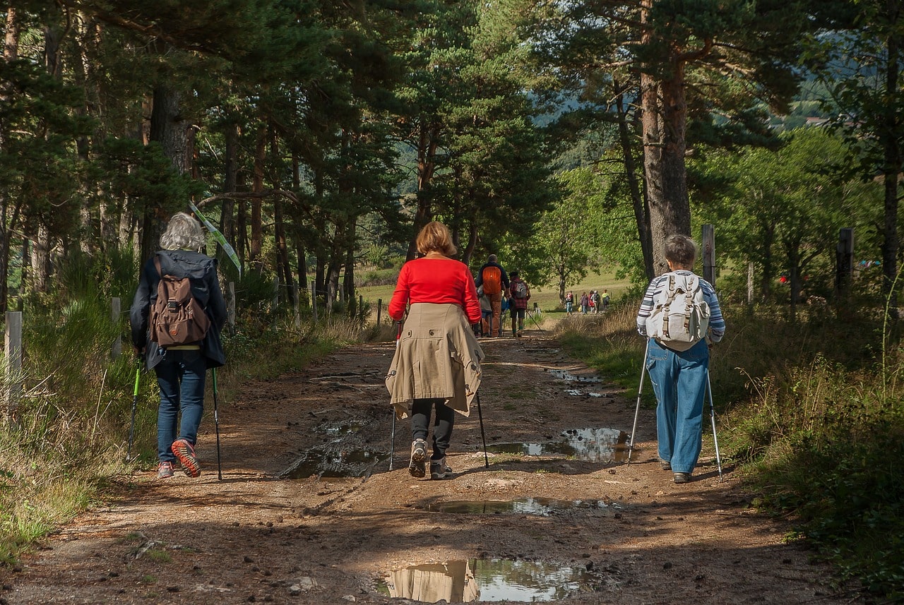 A group of hikers trekking through a scenic mountain trail surrounded by lush greenery and majestic peaks.