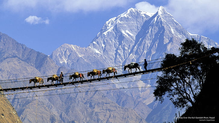 Suspension bridge in Jomsom