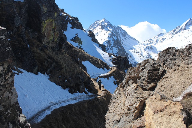 A captivating picture of a hiker strolling along a path in the picturesque Langtang region. The huge, open landscape with the towering mountains in the distance, along with the trekker's diminutive frame, accentuate the magnificence of the surrounding natural beauty.