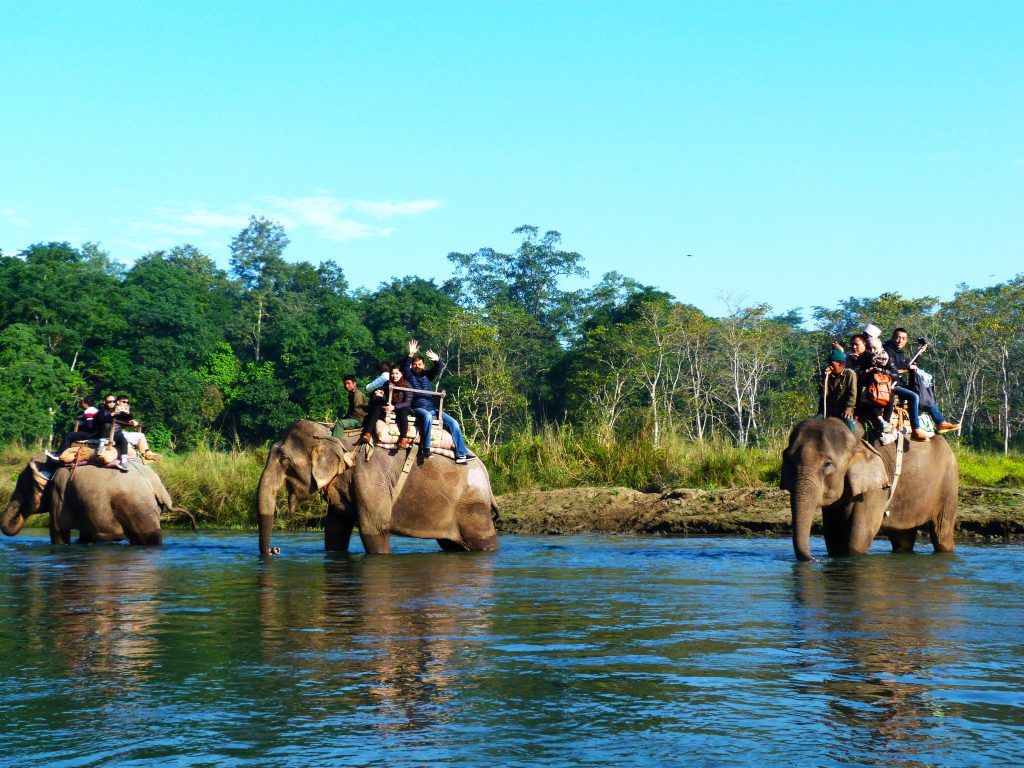 People enjoying the elephant ride on the back of Elephant in Chitwan national park.