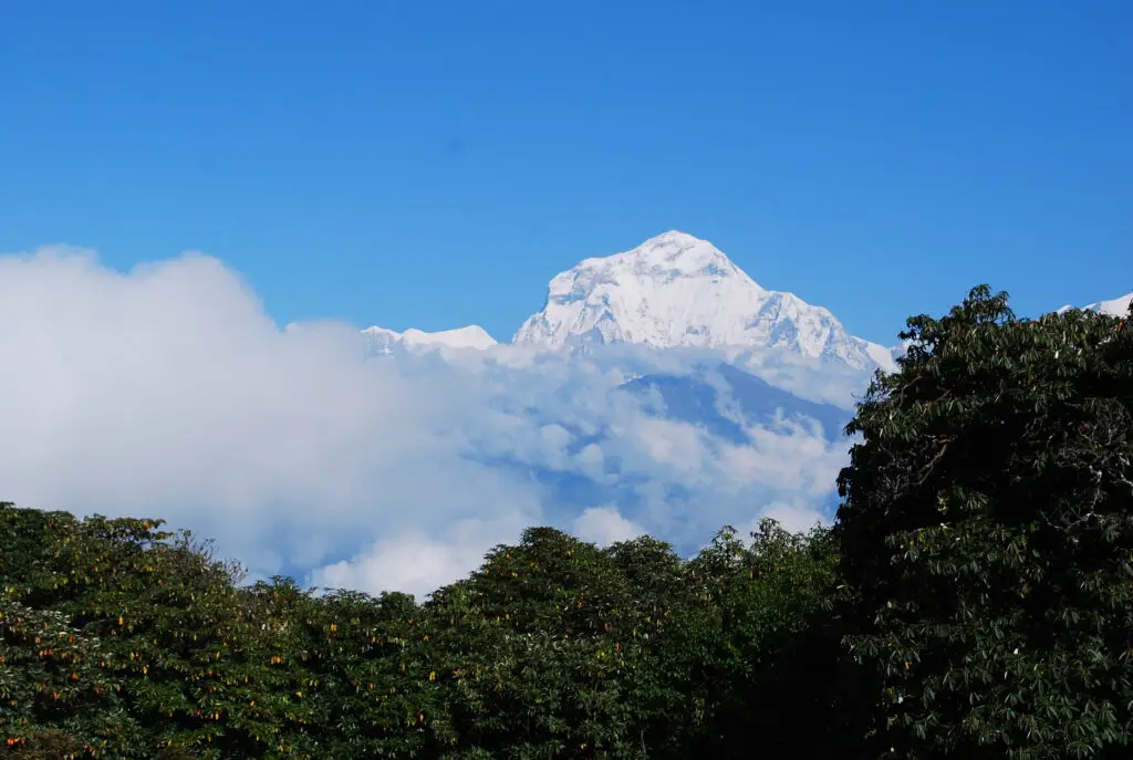 Orange Fields with Annapurna Base Camp in the Distance.