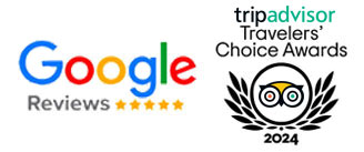 view google and tripadvisior reviews