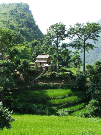 One Week Nepal Tour Package Gallery Image 8 