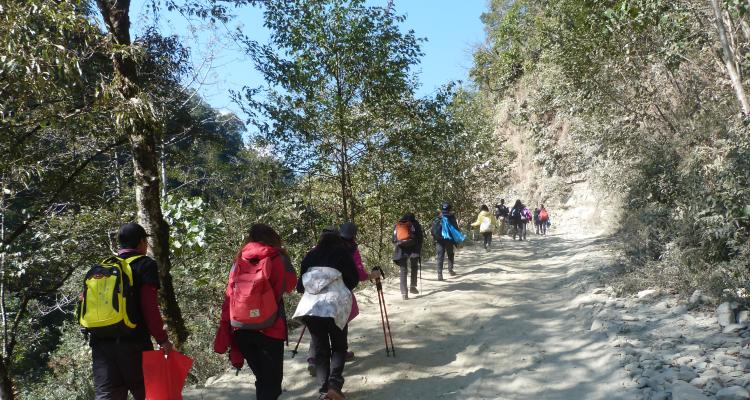 Annapurna Base Camp Trek - 7 Days Gallery Image 5 