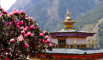 Beautiful monastery in Nyak Village nestled beside vibrant rhododendron trees, showcasing traditional architecture against a serene mountain landscape.