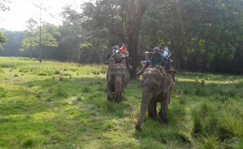 8-Day Kathmandu, Pokhara & Chitwan Tour Package