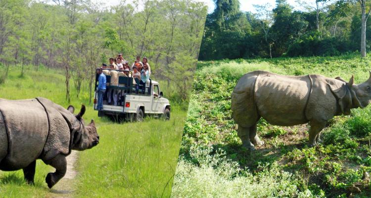 Chitwan National Park Tour