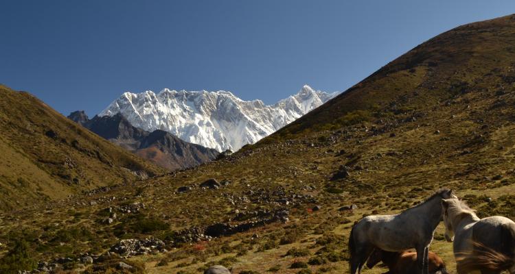Everest Base Camp Trail