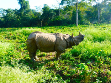 Bardiya National Park Tour Package