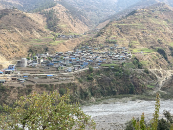 Gorilla Trek in Nepal A Journey Through the Wild