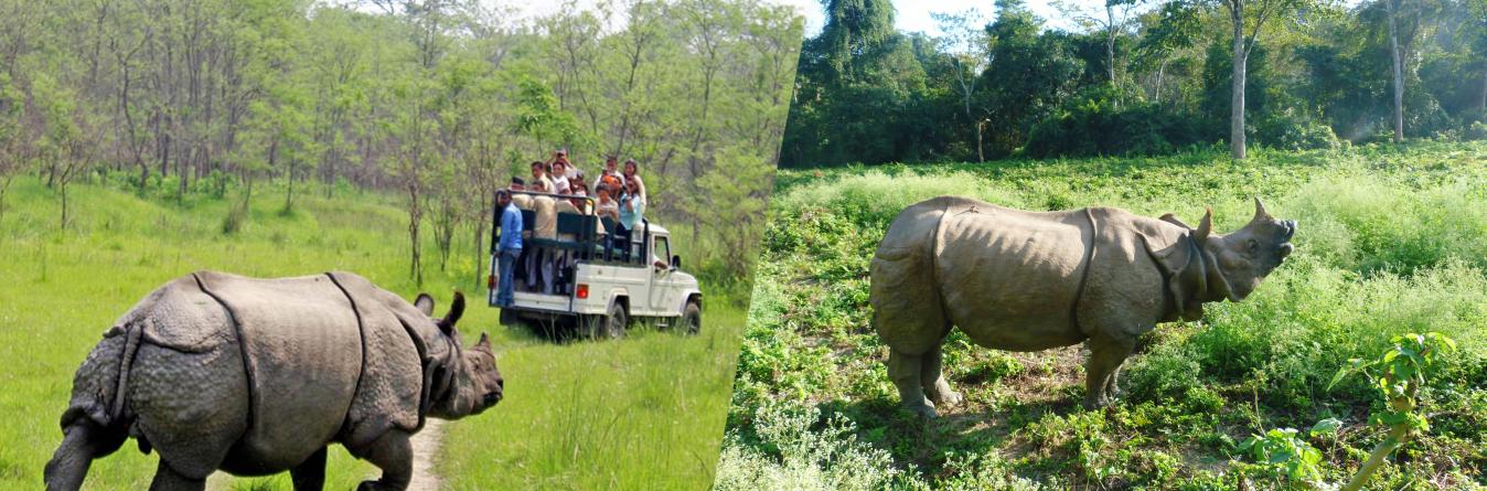 Chitwan National Park Tour