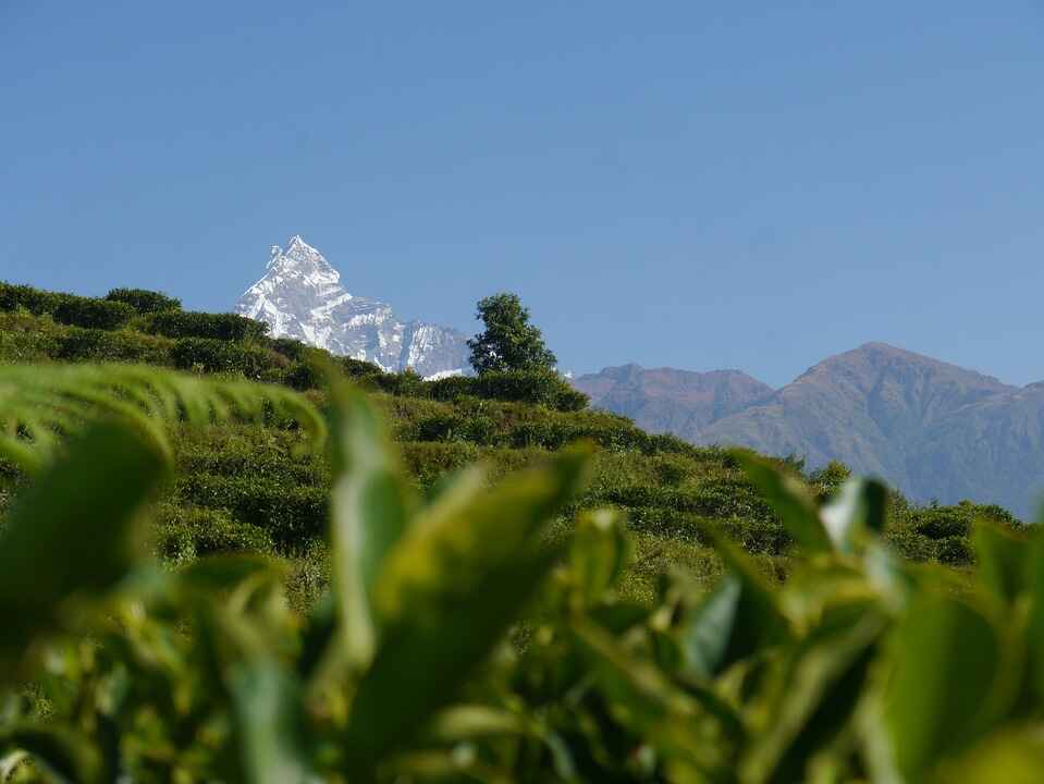 Lwang Village Homestay Tour