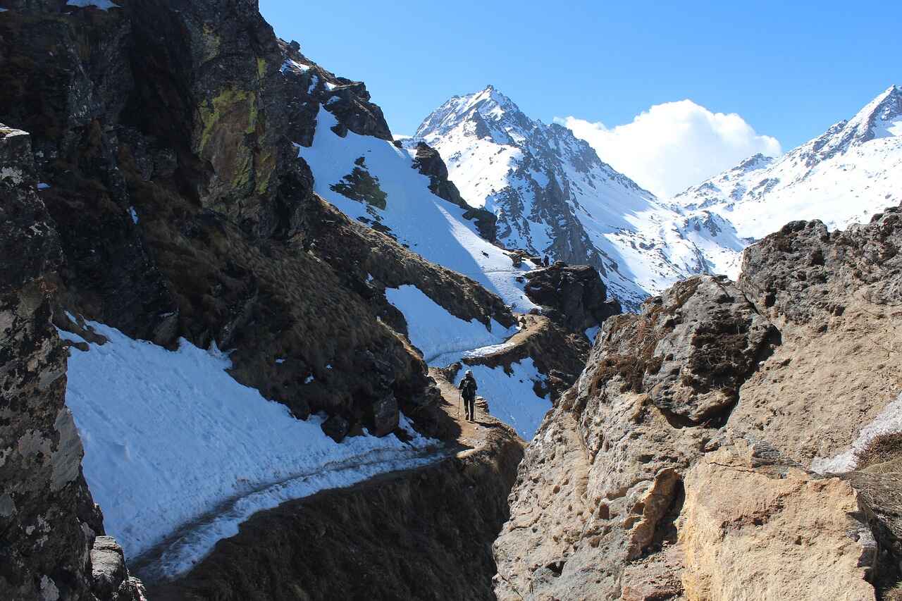 Langtang Region Trekking