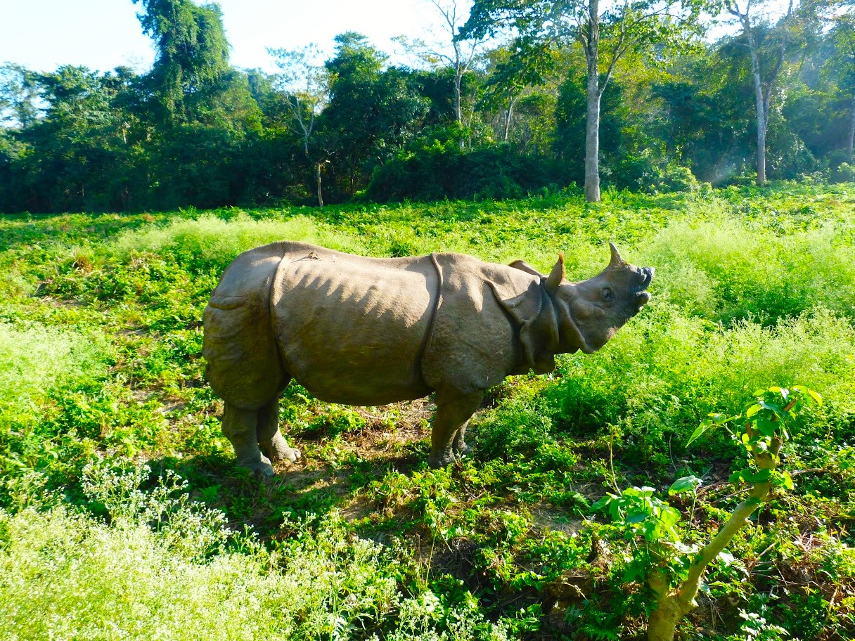 Bardiya National Park Tour Package