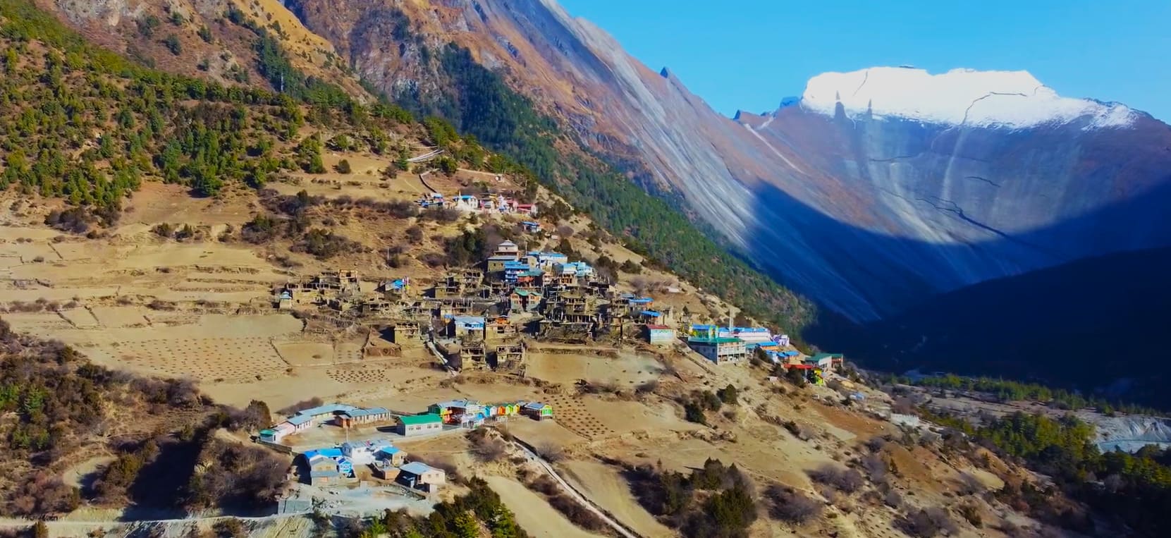 Pisang Village