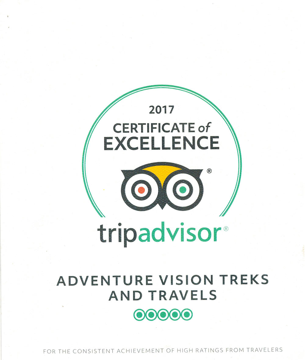 Trip Advisior Excellence 2017